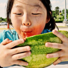 crawfish-2013-010 crawfish-2013-010 • <a style="font-size:0.8em;" href="http://www.flickr.com/photos/77364040@N03/15975200948/" target="_blank">View on Flickr</a>